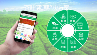 茶叶溯源解决方案
